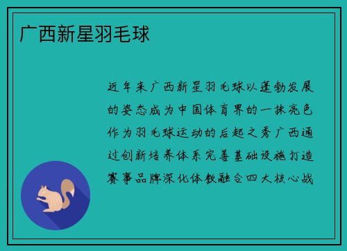 广西新星羽毛球