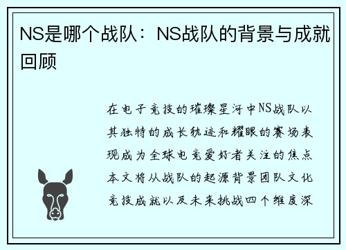 NS是哪个战队：NS战队的背景与成就回顾
