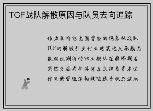 TGF战队解散原因与队员去向追踪